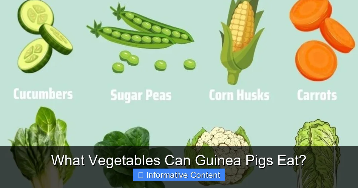 What Vegetables Can Guinea Pigs Eat?