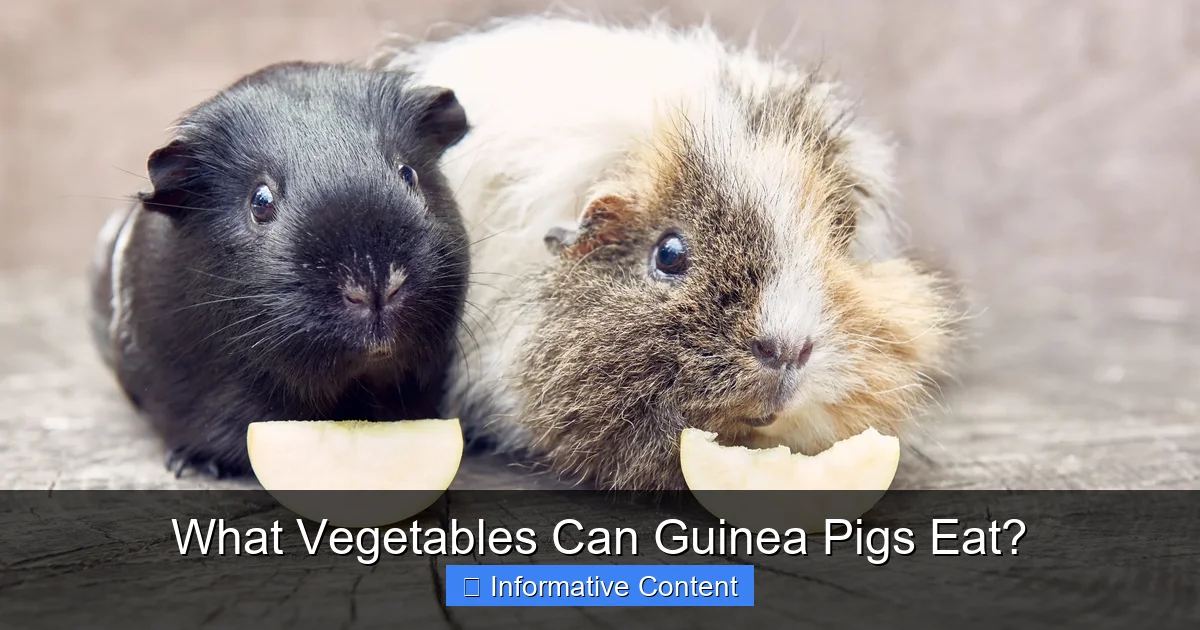 What Vegetables Can Guinea Pigs Eat?